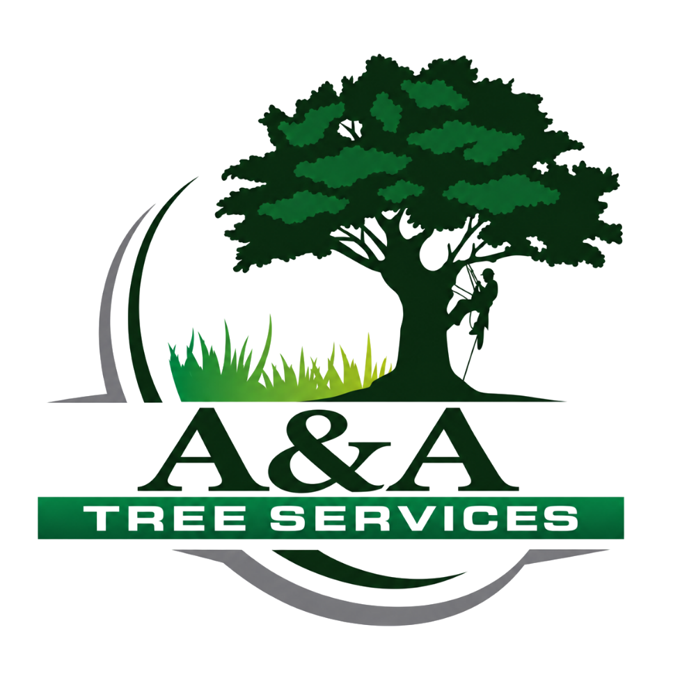 site logo